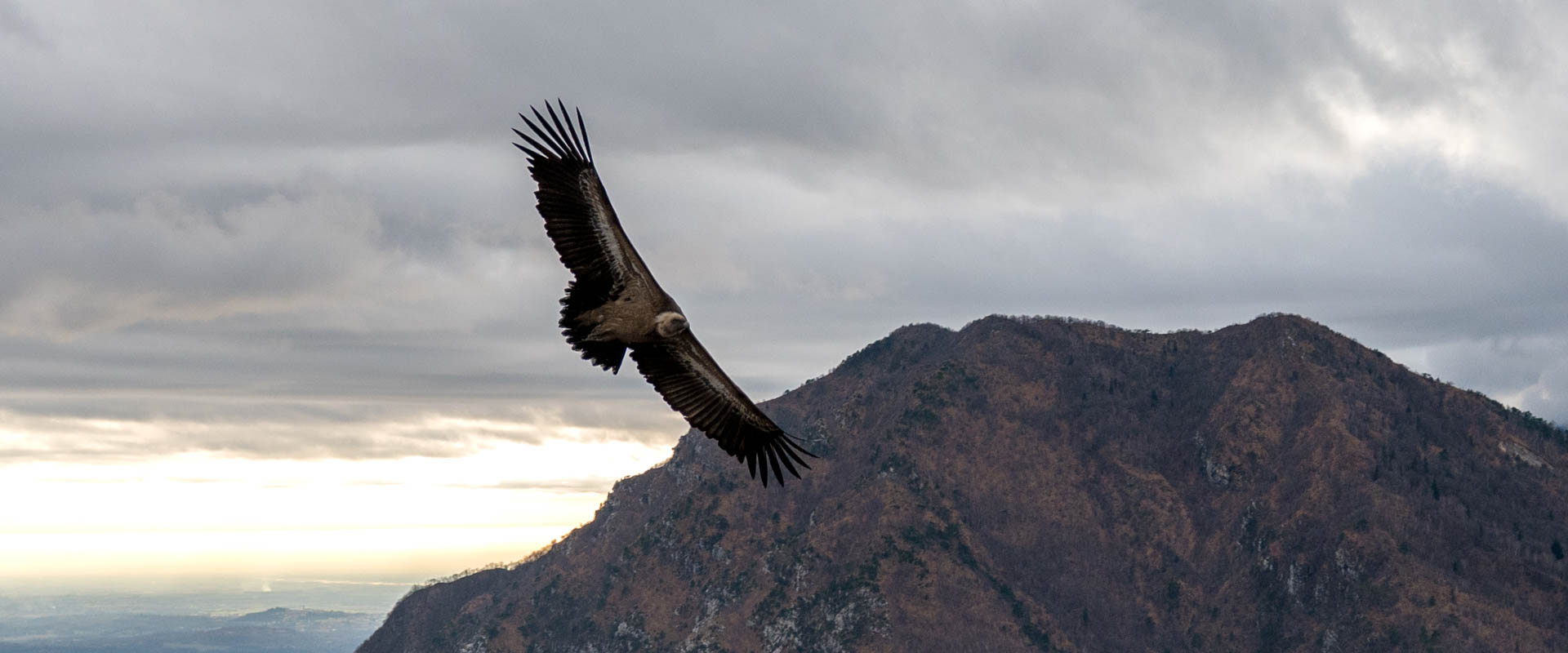 gemeinsam-fliegen-20240102-014.jpg