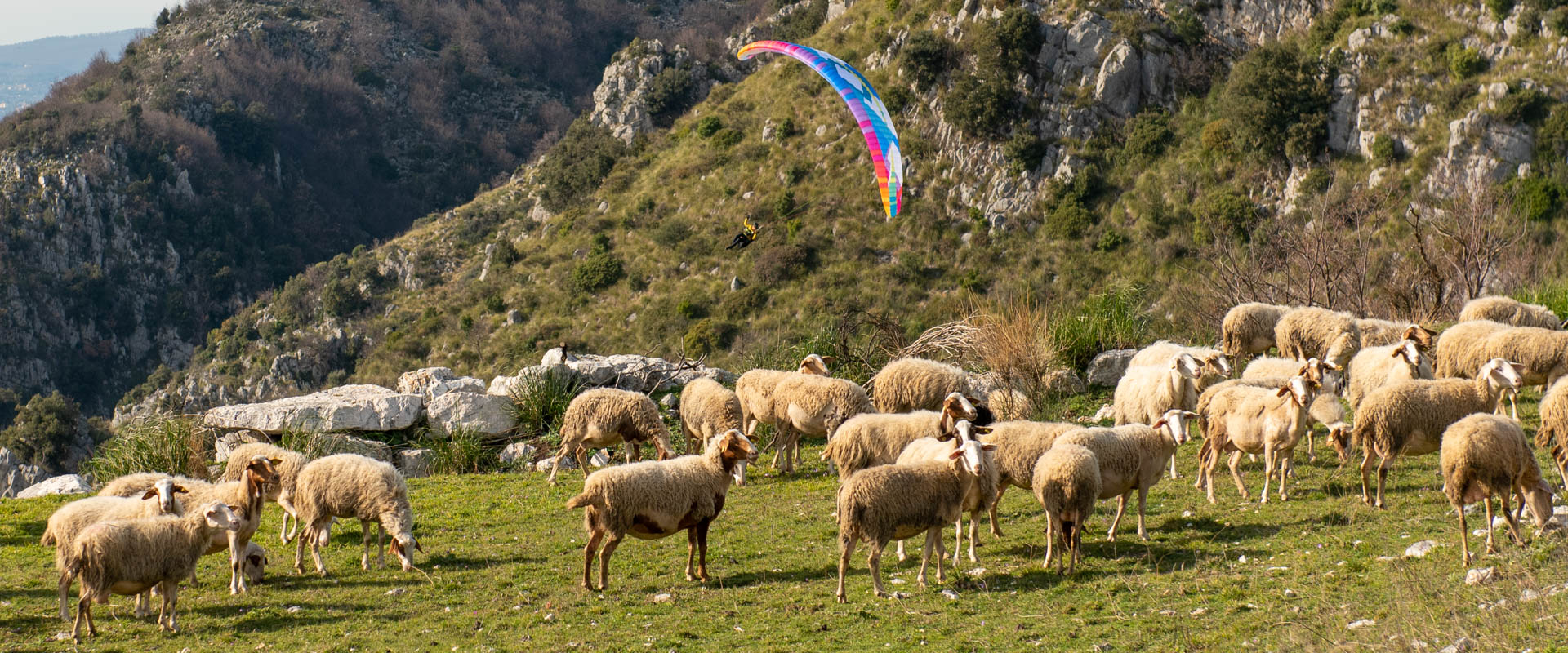 gemeinsam-fliegen-20220224-001-3.jpg